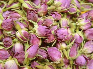 طرح صنعتی خشک سازی گل و گیاه با فناوری فریز درایر