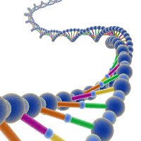مقاله تکامل حیات از دریا تا خشکی در زیست شناسی