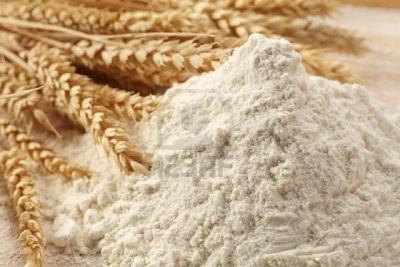 دانلود گزارش کارآموزی آیین کار جهت تعیین ضریب ته نشینی زلنی برای گندم و آرد