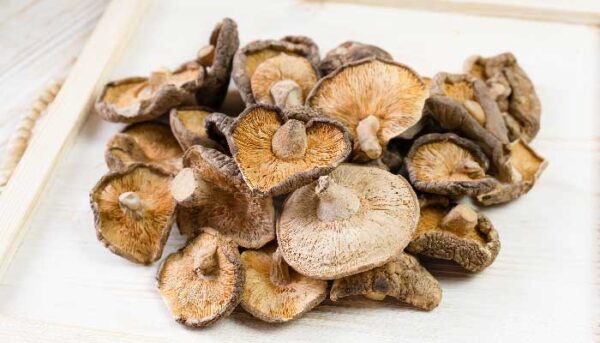 خشک کردن قارچ خوراکی