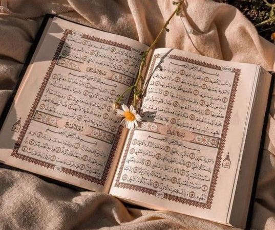 عبرت و تربیت در قرآن و نهج البلاغه